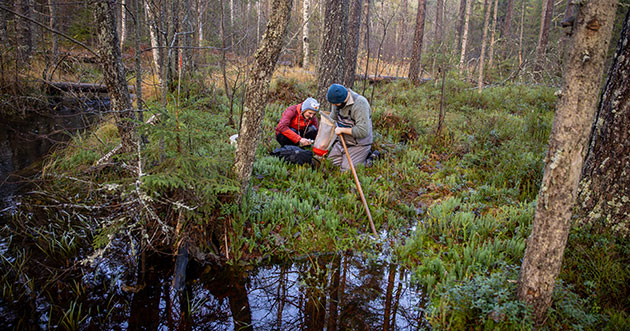 Foto: Susanna Bergström