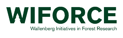 logo Wiforce